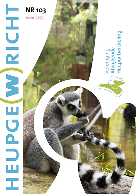 vah heupgewricht 103