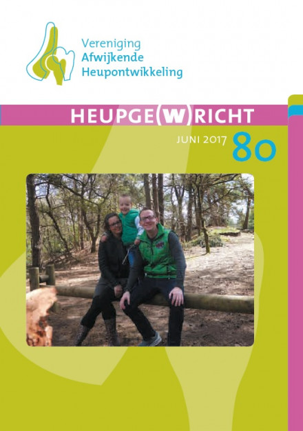 vah heupgewricht 80