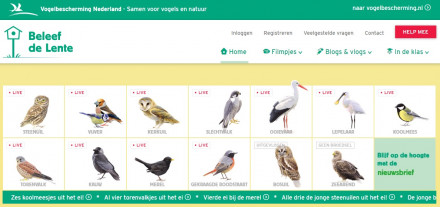 beleef de lente overzicht