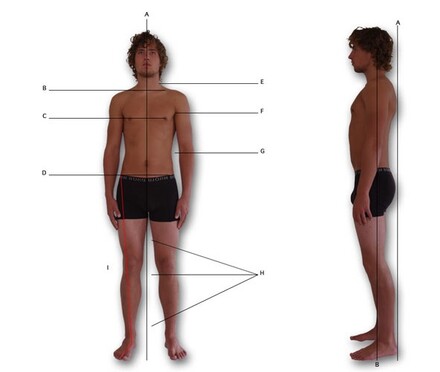 lijnen lichaamshouding