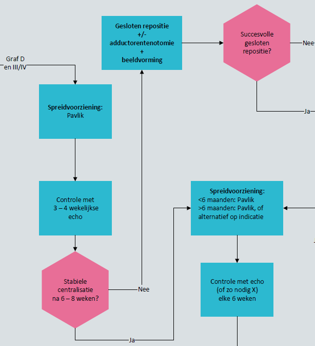 richtlijn ddh stroomschema behandeling instabiele dho heupluxaties