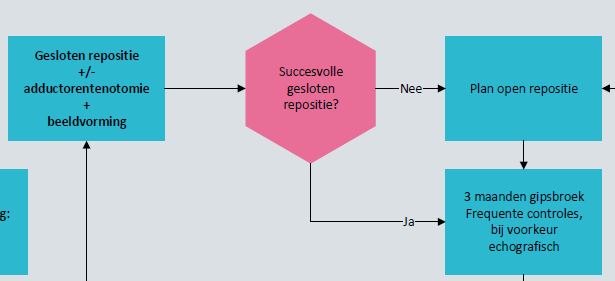 richtlijn ddh stroomschema gesloten heuprepositie