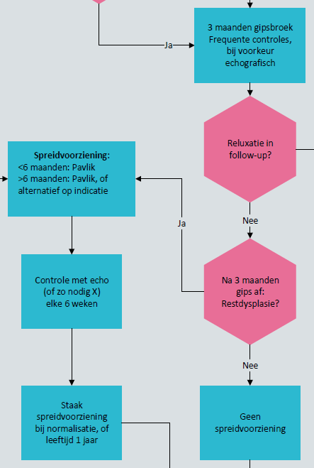 richtlijn ddh stroomschema gipsbroek