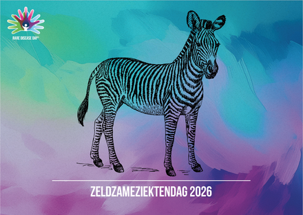 zzd 2026