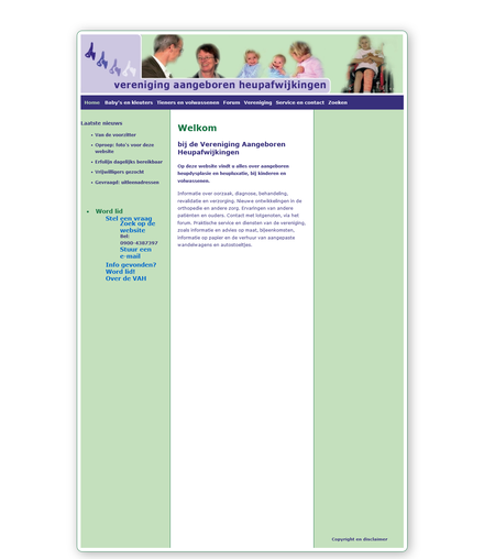 2009 website
